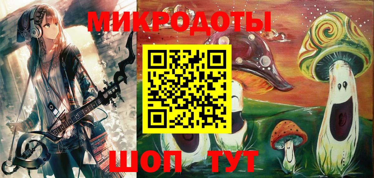 Псилоцибиновые грибы Psilocybe Избербаш
