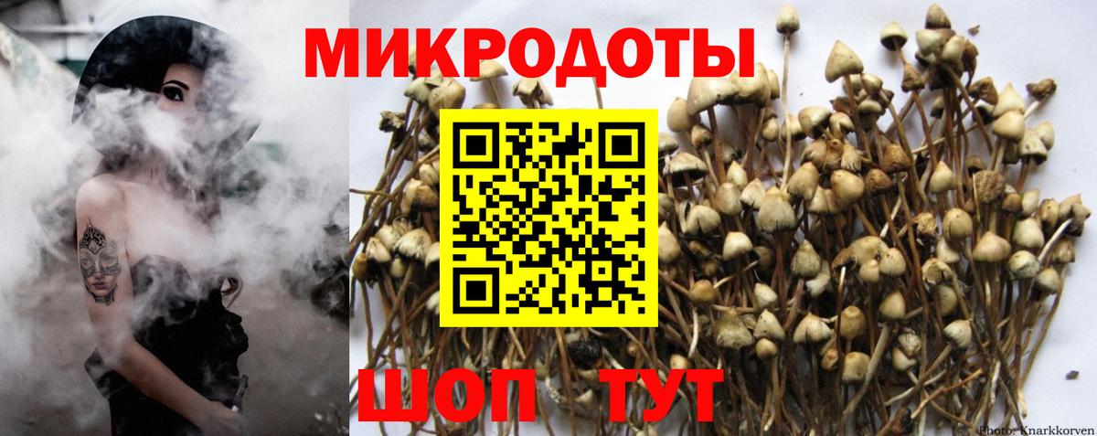 Галлюциногенные грибы GOLDEN TEACHER  Галлюциногенные грибы GOLDEN TEACHER  дарнет шоп  Избербаш  Вход с VPN 